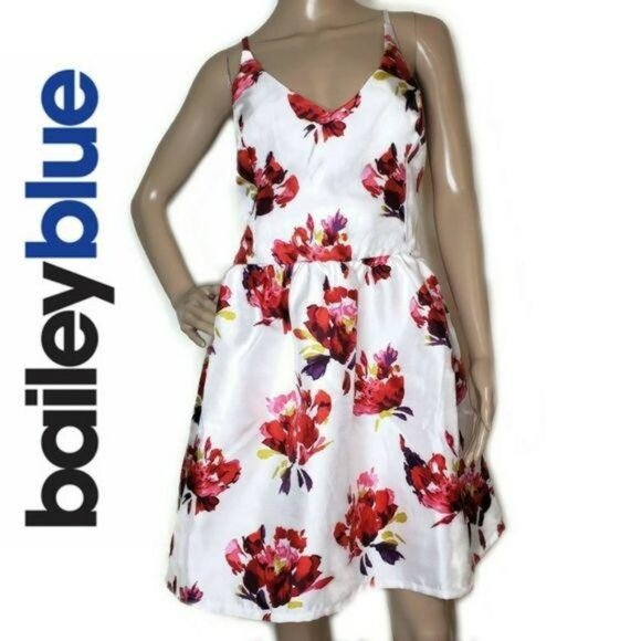 Bailey Blue white and red large print Print Sleeveless A-Line sun dress sz 14 - Picture 1 of 6